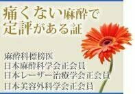 美容外科:麻酔