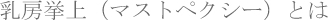 ���[����(�}�X�g�y�N�V�[)�Ƃ�