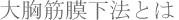 �勹�ؖ����@�Ƃ�|�L�� �p 
