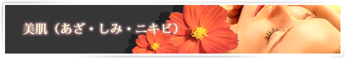 �����i����(�A�U)�E����(�V�~)�E�j�L�r(�ɂ���)�j