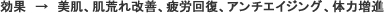 ���� �� �����A���r����P�A��J�񕜁A�A���`�G�C�W���O�A�̗͑��i