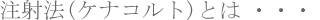 ���˖@(�P�i�R���g)�Ƃ�