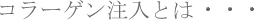 �R���[�Q�������Ƃ�|����(�V��)�E���ڂ�