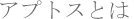 �A�v�g�X�Ƃ�