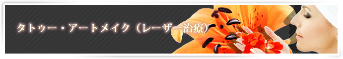 �^�g�D�[(����n�A���n�A�h�A�C���Y�~)�E�A�[�g���C�N�i���[�U�[���Áj