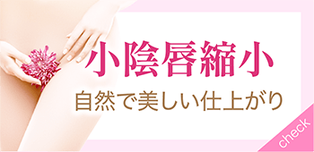 小陰唇縮小