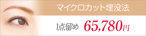 マイクロカット埋没法　1点留め 65,780円