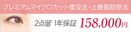 マイクロカット埋没法+上瞼脂肪除去 2点留 1年保証 158,000円