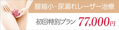 膣縮小・尿漏れレーザー治療 77,000円