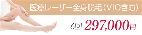 医療レーザー脱毛6回297,000円