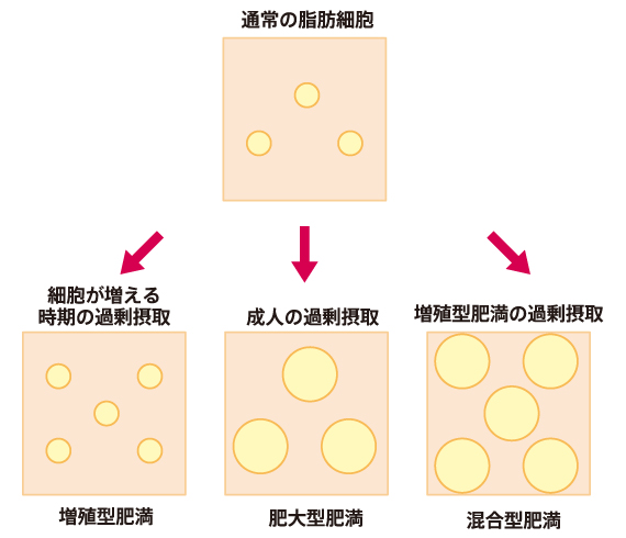 ダイエットによるリバウンド