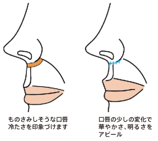 口唇形成