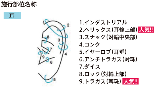 耳ピアス部位