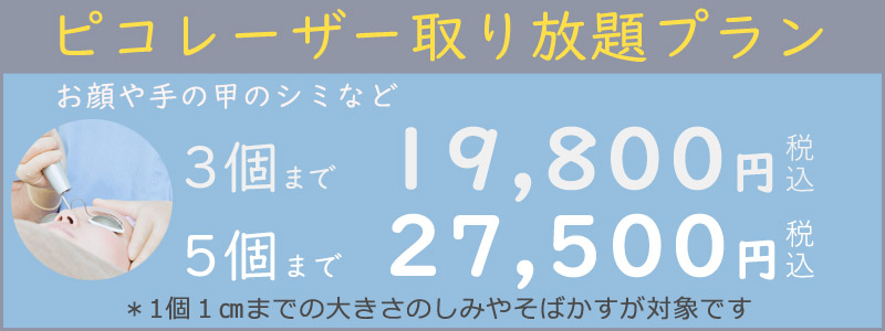 ピコレーザー取り放題プラン