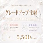 グレードアップ注射（グルタチオン・白玉・ビタミン・にんにく注射）のイメージ