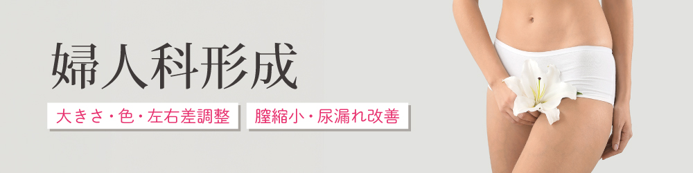 婦人科形成