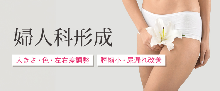 婦人科形成