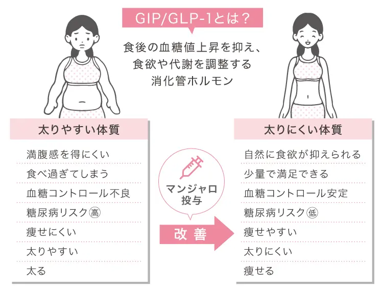 GIP/GLP-1とは