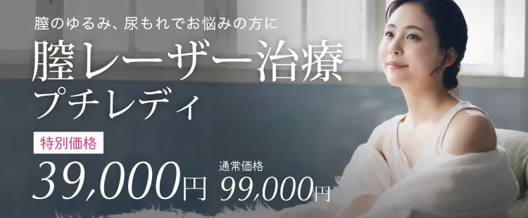 プチレディ