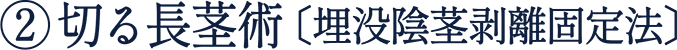 ② 切る長茎術〔埋没陰茎剥離固定法〕