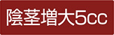 陰茎増大5cc
